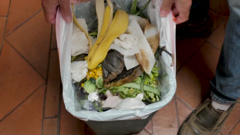 Best Hoarding Cleanup  in Buchanan, MI