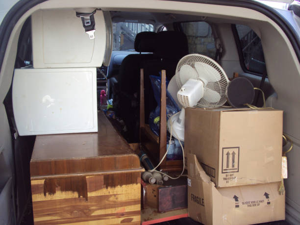 Best Construction Debris Removal  in Buchanan, MI